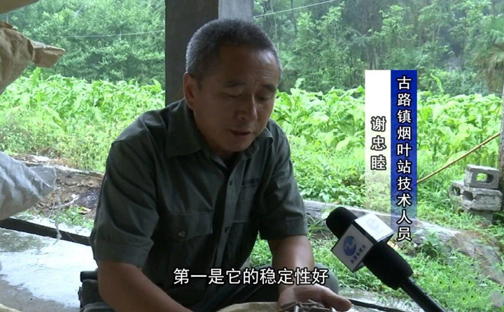 緊緊抓住木屑造粒機(jī)生物質(zhì)顆粒燃料加工場地建設(shè)項(xiàng)目落地的契機(jī)，找準(zhǔn)結(jié)合點(diǎn)，推動(dòng)共和綜合服務(wù)型煙農(nóng)專業(yè)合作社與生物質(zhì)顆粒燃料加工廠的緊密合作.jpg