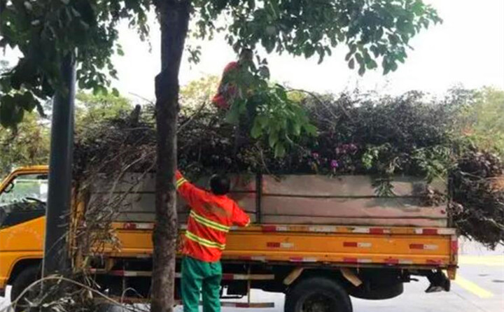 園林綠化廢棄物再利用，南京棲霞年處理量超3萬(wàn)噸.jpg