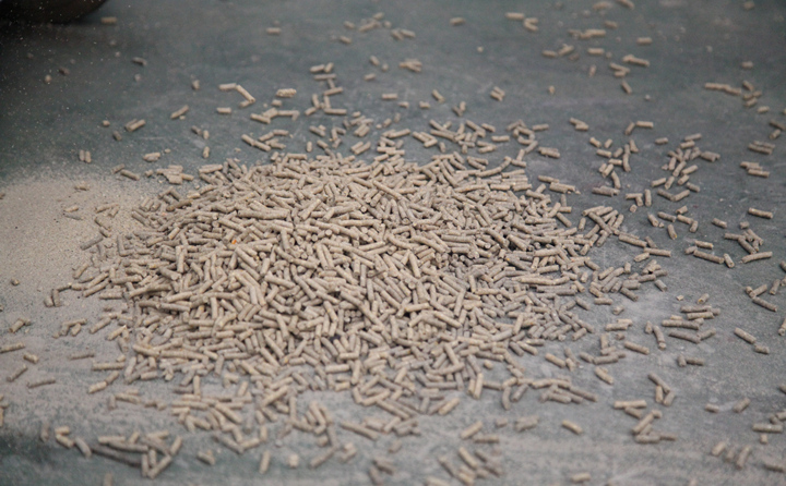 為什么經(jīng)過木屑造粒機加工的生物自燃料就可以燃燒呢？.jpg