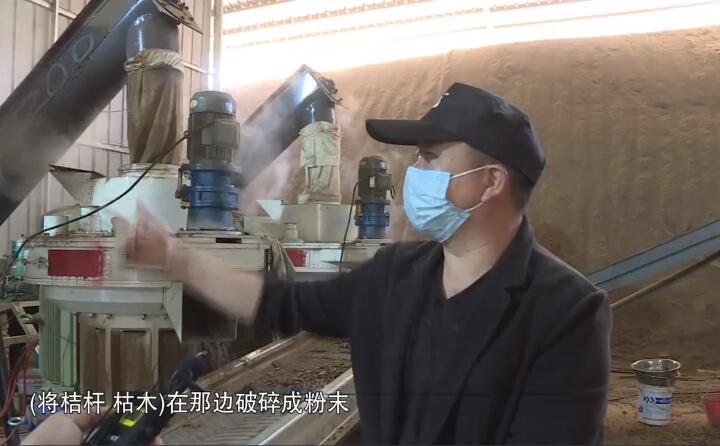 將桔桿、枯木在那邊破碎成粉末，然后經(jīng)過(guò)這兩個(gè)造粒機(jī)的碾壓，形成這種顆粒燃料出來(lái)，形成最后的產(chǎn)品.jpg