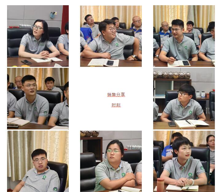 銷售精英們結(jié)合自己特點(diǎn)進(jìn)行工作匯報(bào)。.jpg